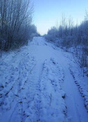 PIC_0011.jpg