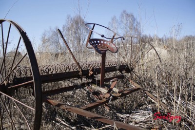 _MG_0508.jpg