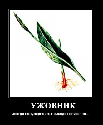 Ужовник.JPG