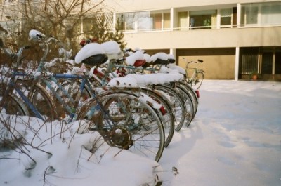 winter.jpg
