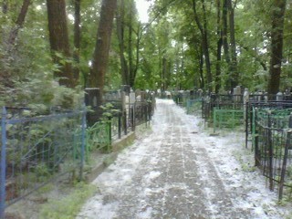 picture_00020.jpg