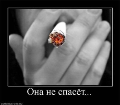 987d0f1b60be98ddb3e7e6feafe.jpg