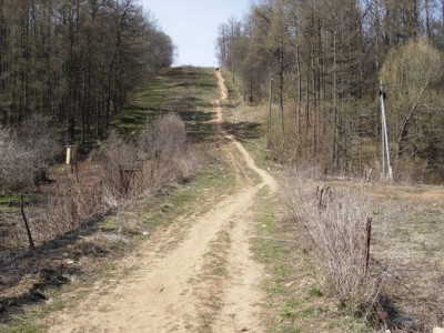 DSCN5548.jpg