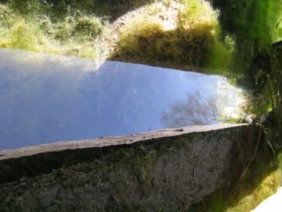 x_6b9019ac.jpg