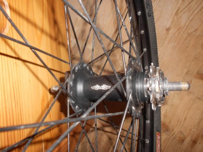 z_246333fa.jpg