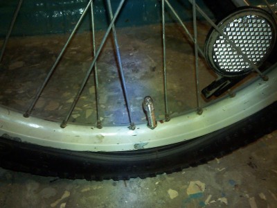 IMG_20120715_174518.jpg