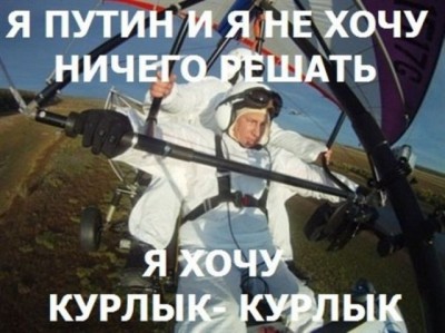 курлык.jpg