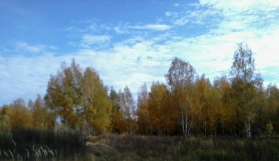2012-10-06 13.17.13.jpg