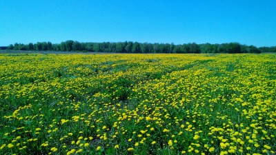 WP_20130518_007.jpg