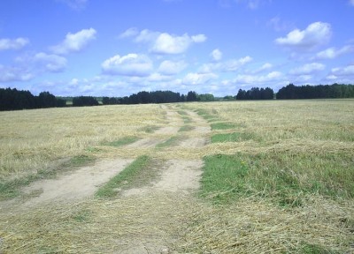 PIC_0098.JPG