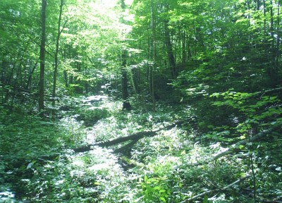 PIC_0099.JPG